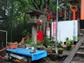 Kyoto : Inari